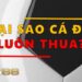 Tại sao cá độ bóng đá luôn thua