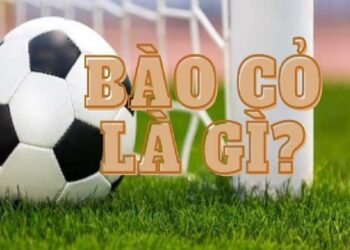 Bào cỏ là gì